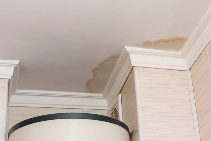 Water Damage to Ceilings: How Professional Plastering Restores Your Space Blog